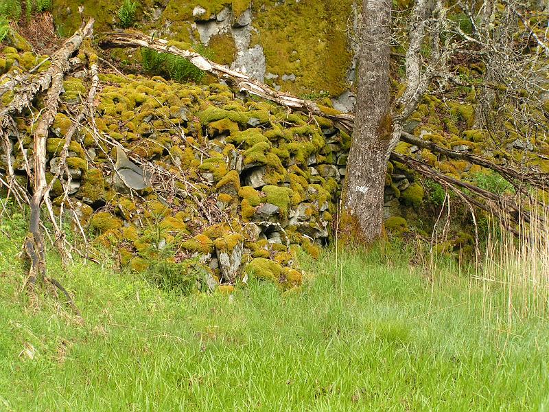 PICT0116.JPG - Mängder med sten som lagts upp mot berget vid Finnerud.
